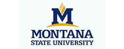 MSU_57ad9adce8.png